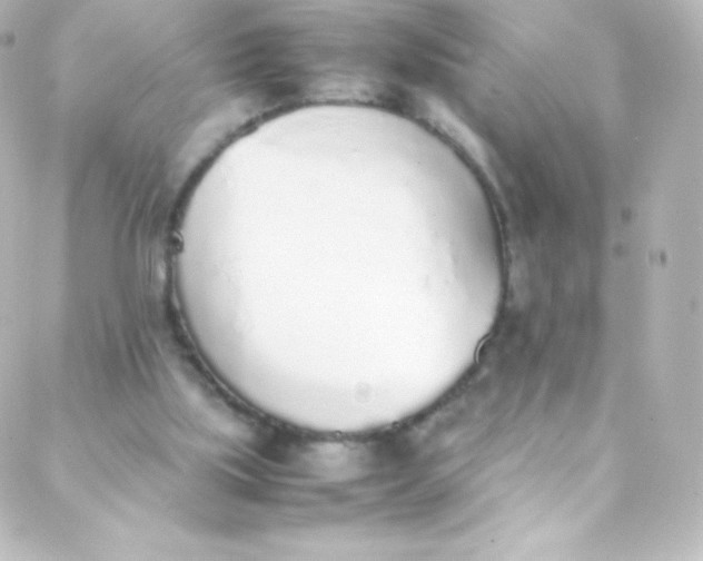 X0000088150059200705291433