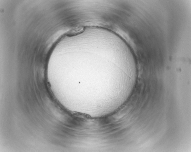 X0000088150060200705291433