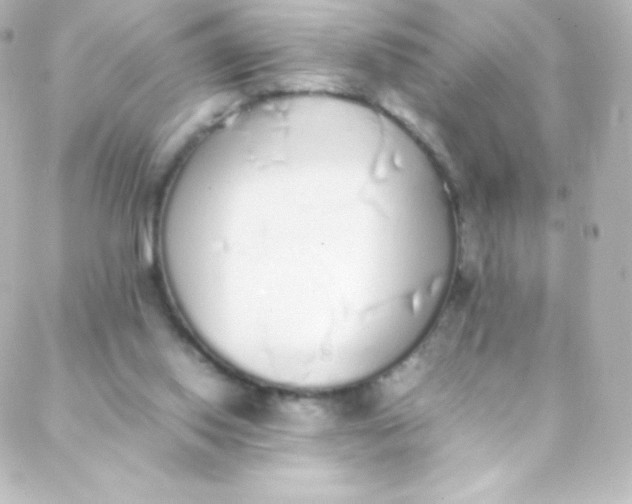 X0000088150062200705291433