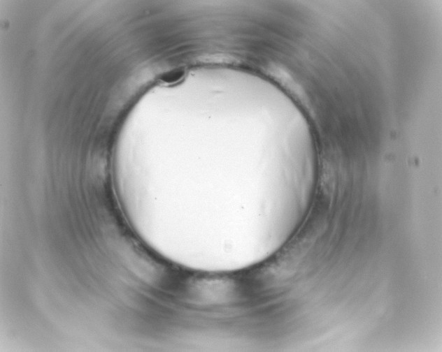 X0000088150063200705291433