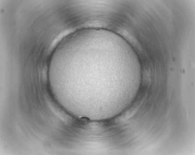 X0000088150064200705291433