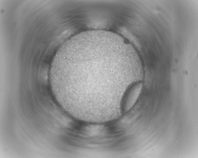 X0000088150065200705291433