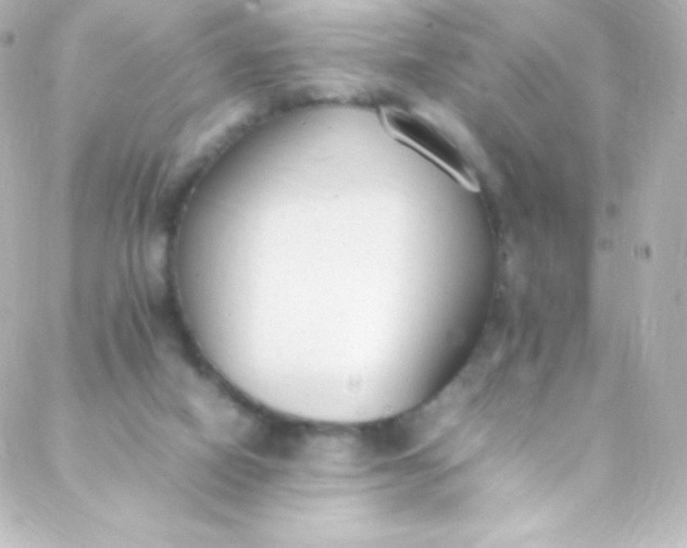 X0000088150066200705291433