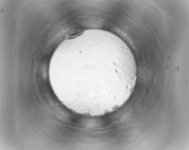 X0000088150069200705291433