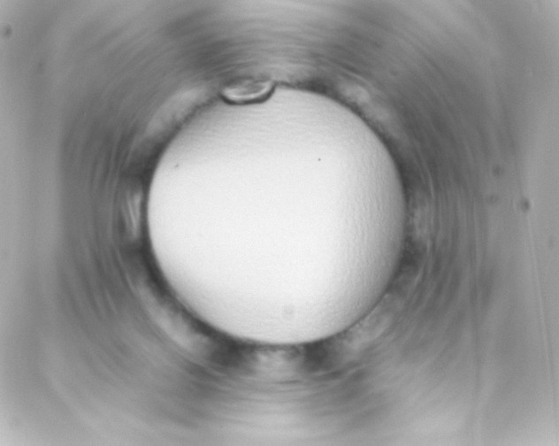 X0000088150070200705291433