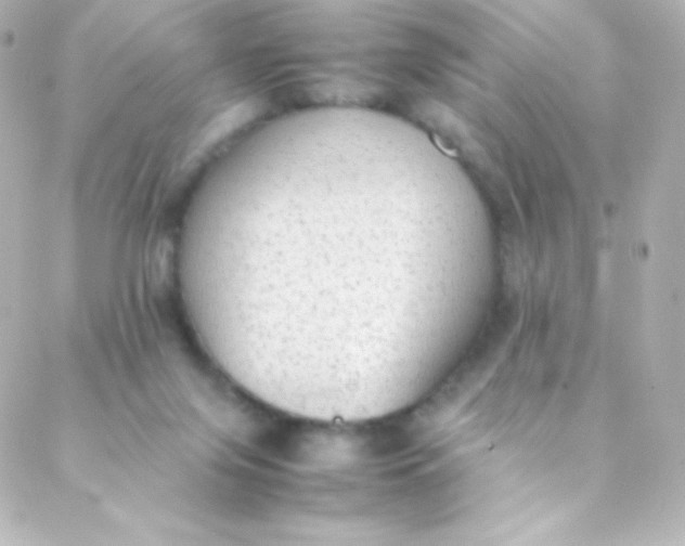 X0000088150071200705291433