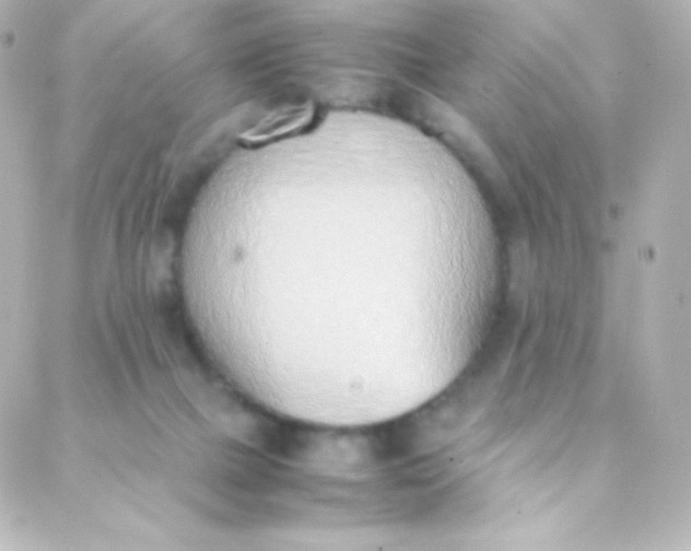 X0000088150073200705291433