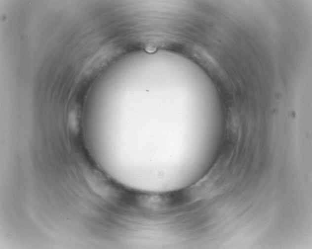 X0000088150074200705291433