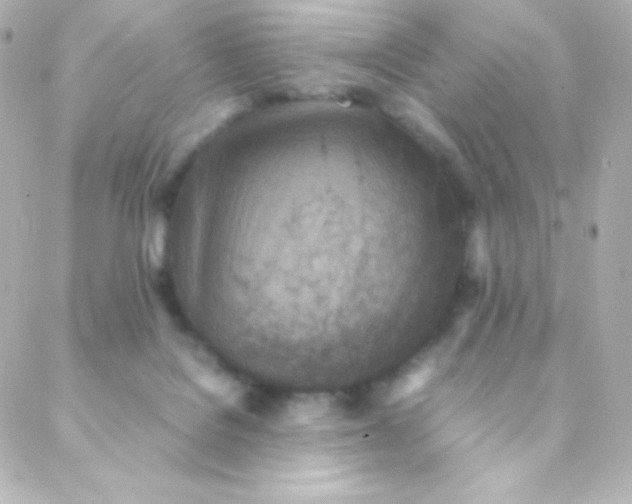 X0000088150076200705291433