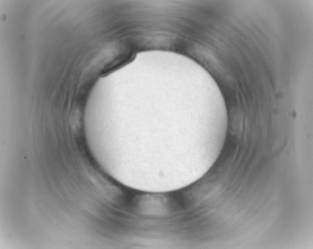 X0000088150077200705291433