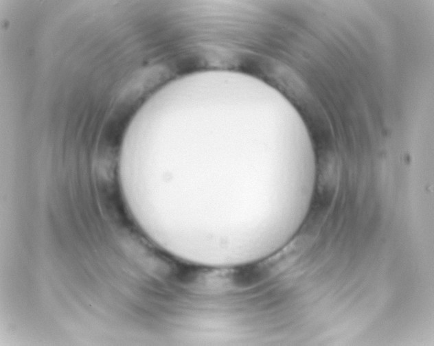 X0000088150078200705291433