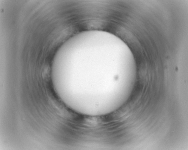 X0000088150079200705291433