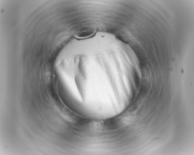 X0000088150080200705291433