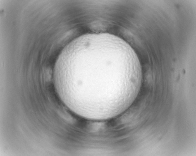 X0000088150081200705291433