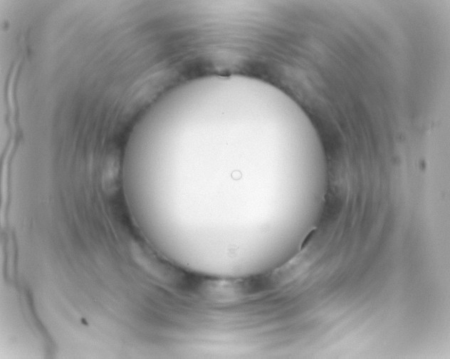 X0000088150082200705291433