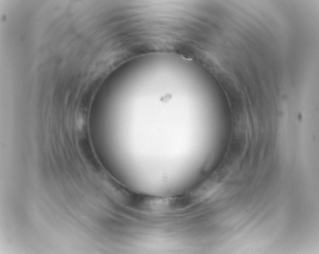 X0000088150084200705291433