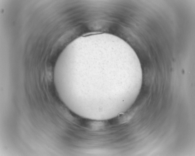 X0000088150085200705291433