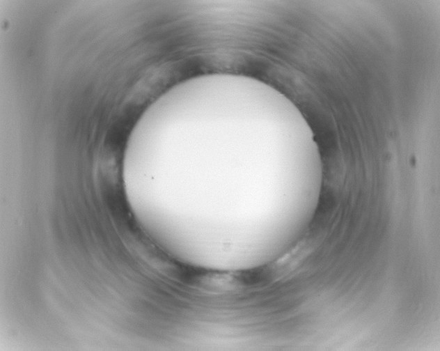 X0000088150086200705291433