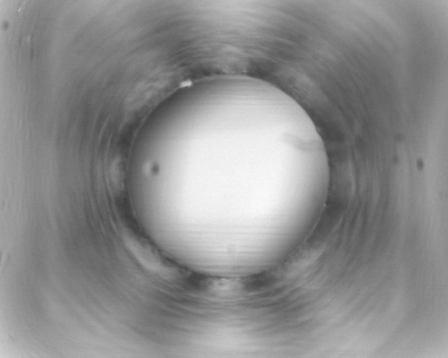 X0000088150088200705291433