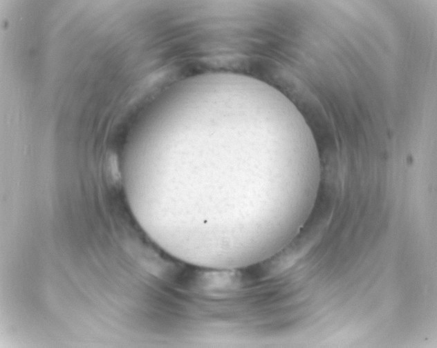 X0000088150089200705291433