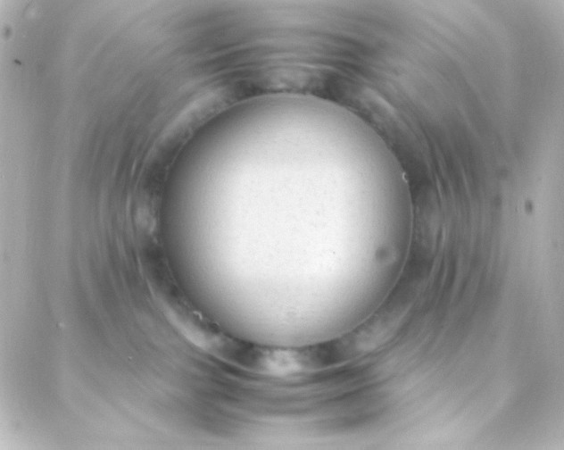 X0000088150091200705291433