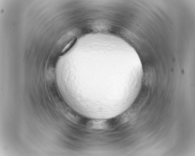 X0000088150093200705291433