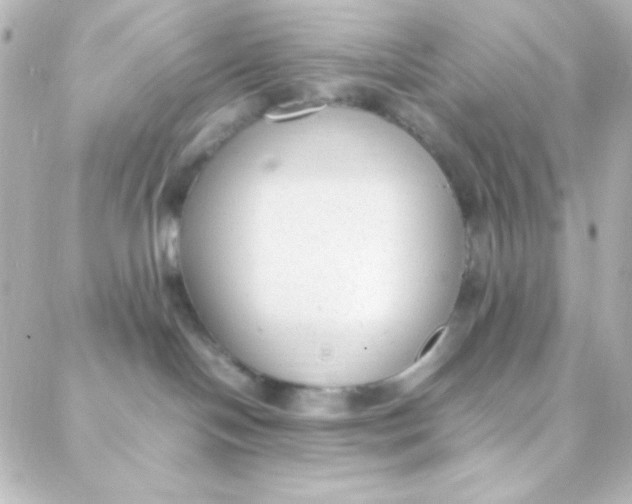 X0000088150094200705291433