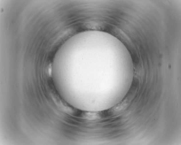 X0000088150095200705291433