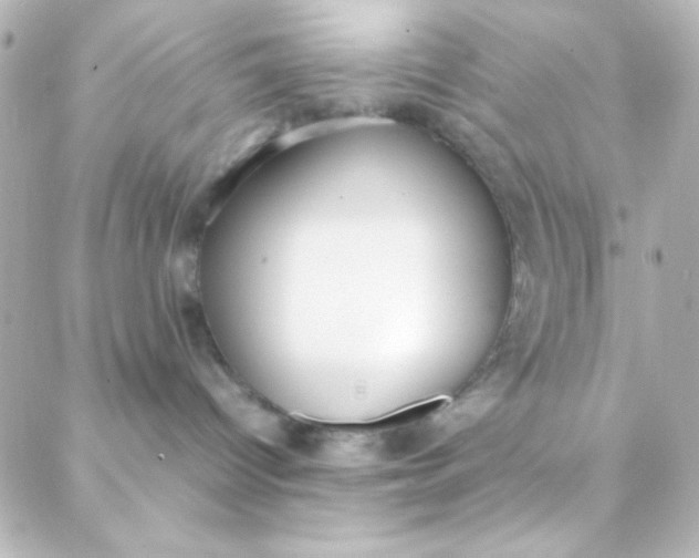 X0000088150096200705291433