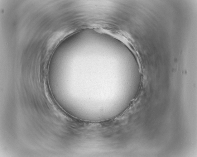 X0000088150097200705291433