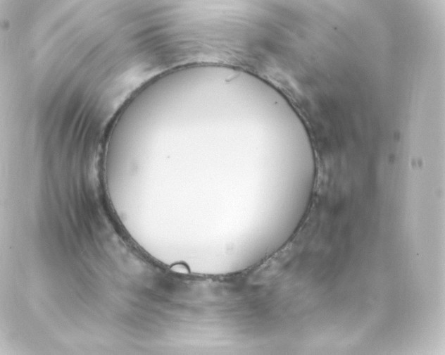 X0000088150098200705291433