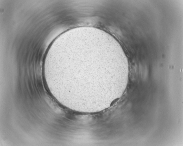 X0000088150100200705291433