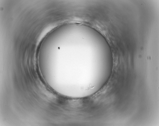 X0000088150102200705291433