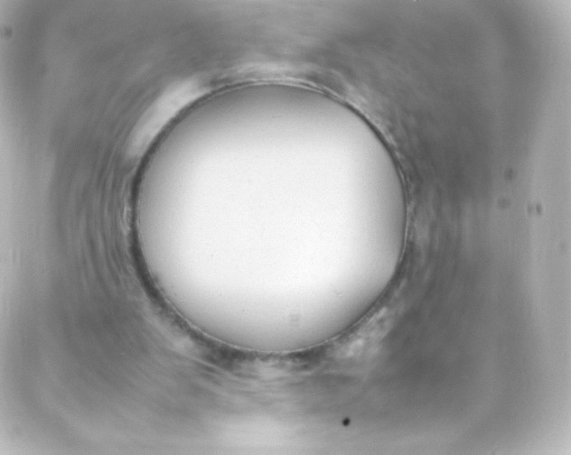 X0000088150103200705291433