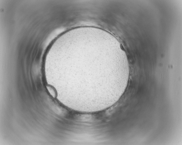 X0000088150104200705291433