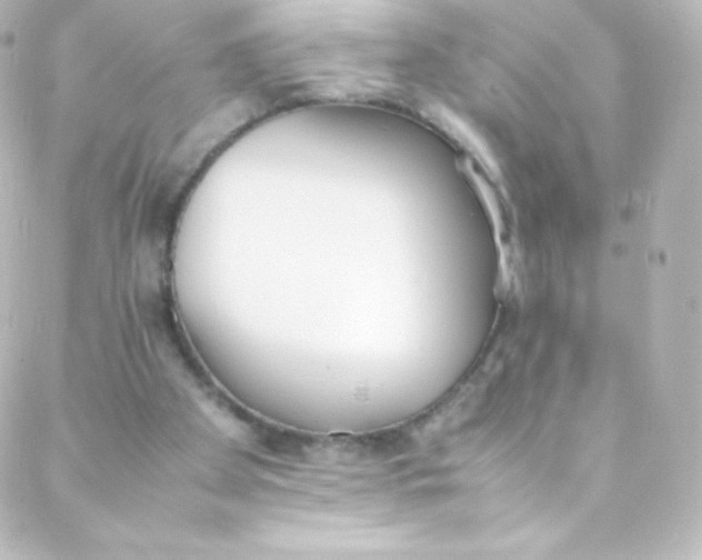 X0000088150105200705291432