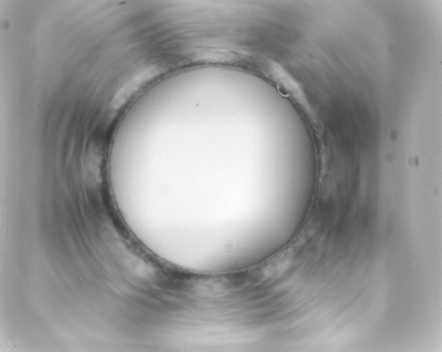 X0000088150106200705291432