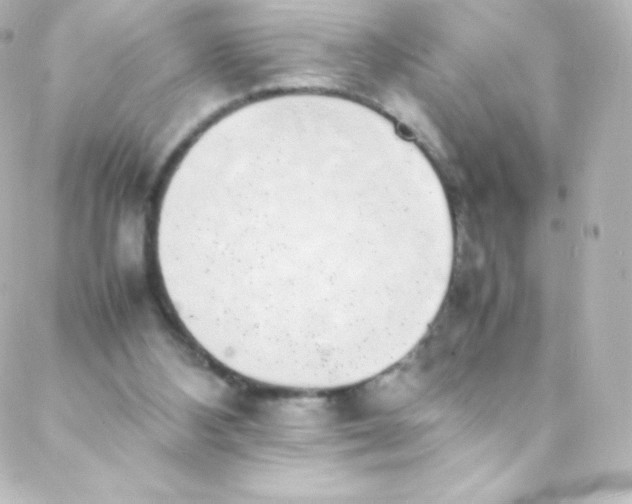 X0000088150108200705291432