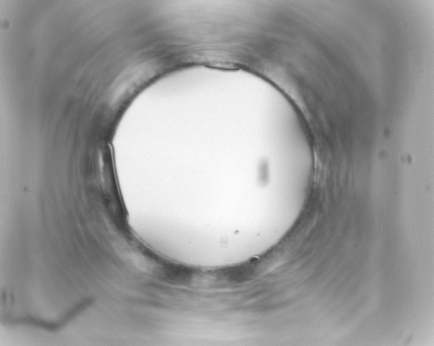 X0000088150109200705291432