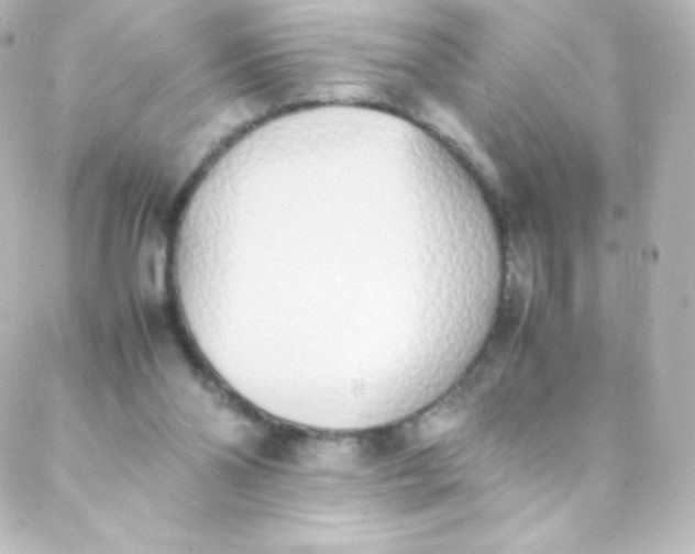 X0000088150110200705291432