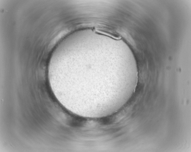 X0000088150111200705291432