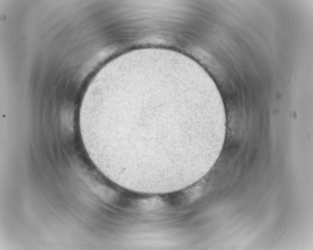 X0000088150112200705291432