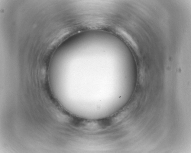 X0000088150113200705291432