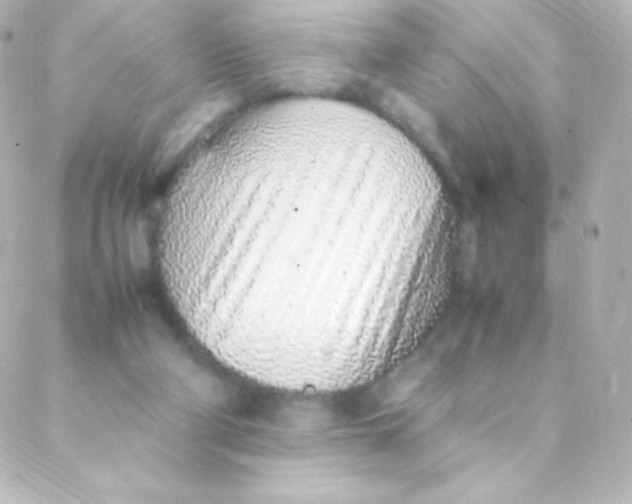 X0000088150114200705291432