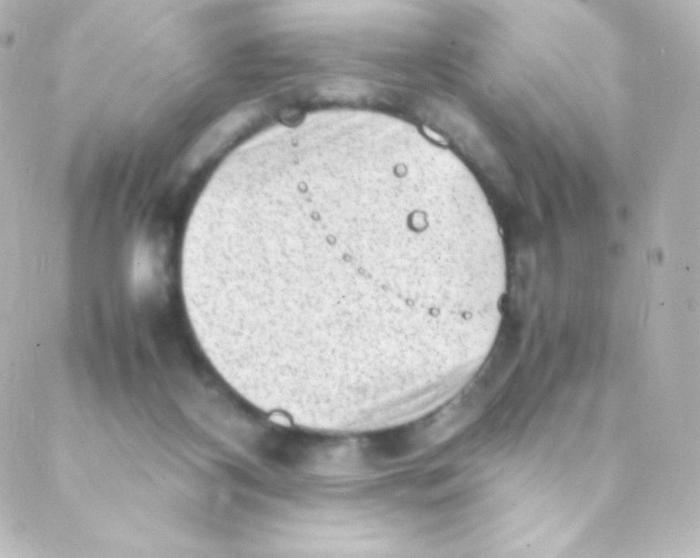 X0000088150116200705291432