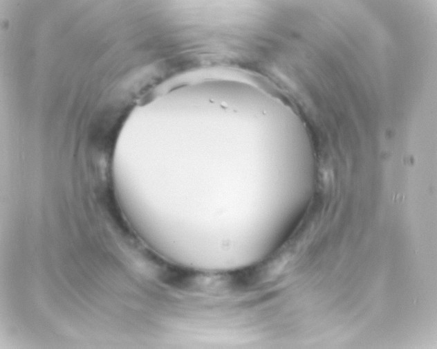 X0000088150117200705291432