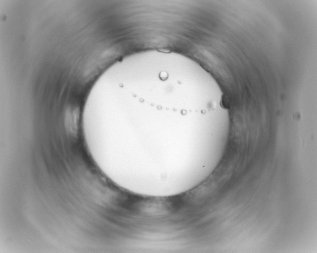 X0000088150118200705291432