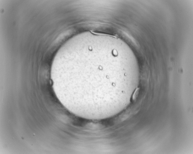 X0000088150119200705291432