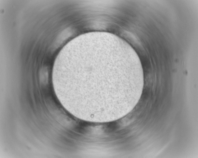 X0000088150120200705291432