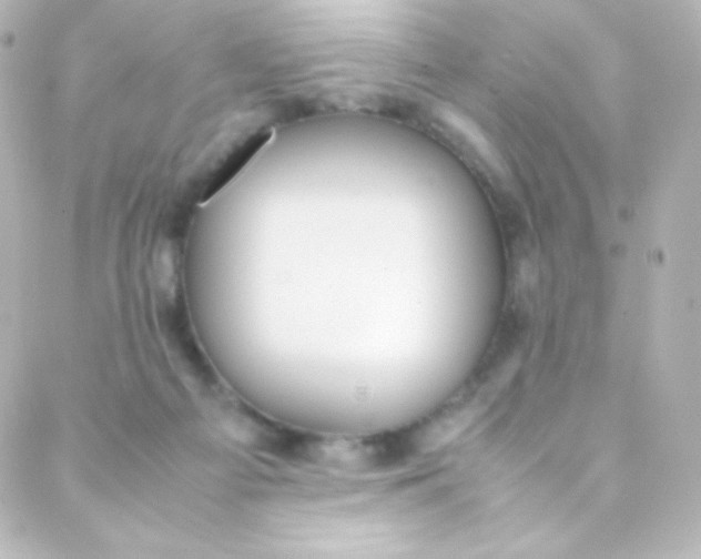 X0000088150121200705291432